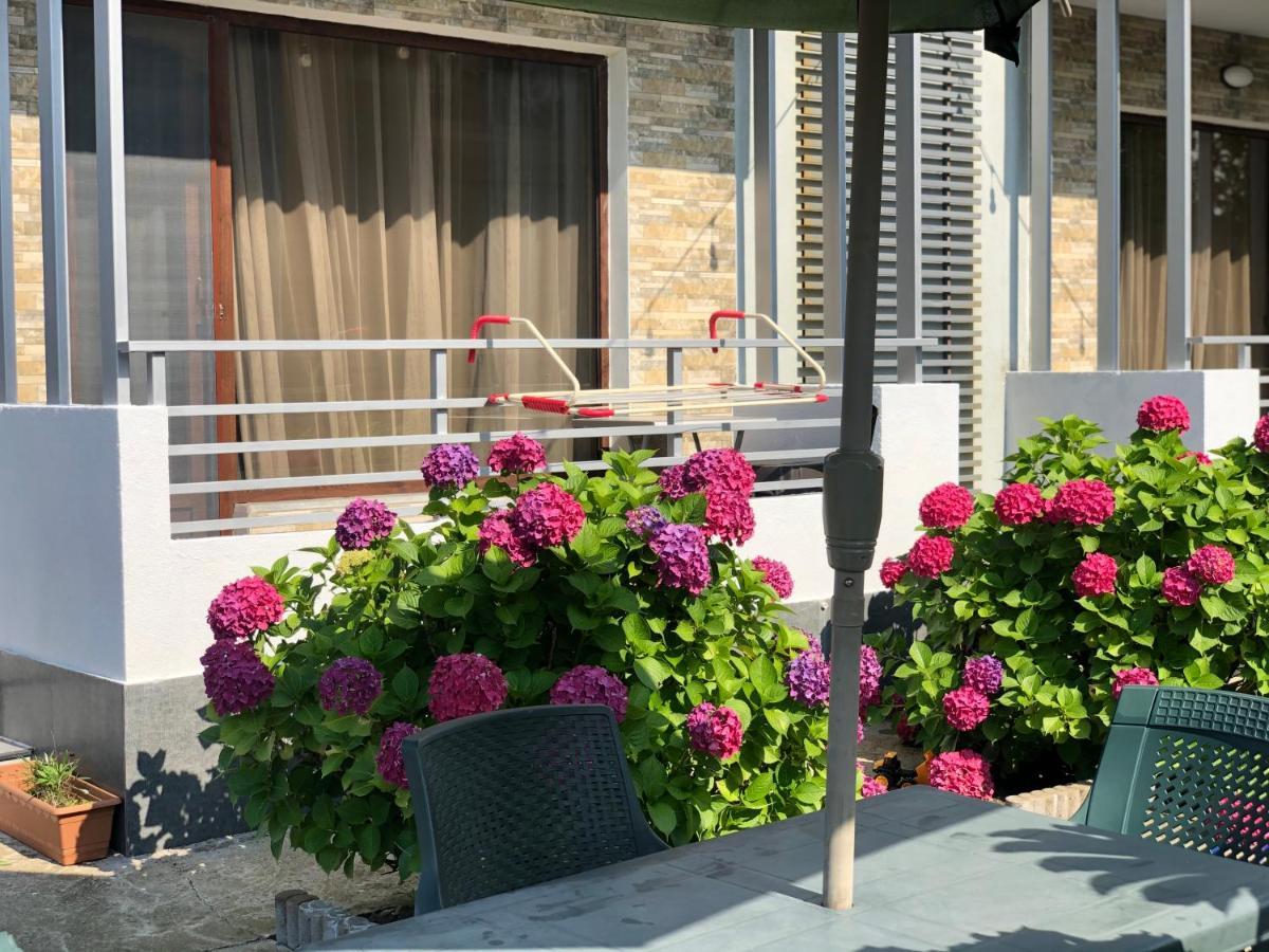 Apollo Plus Cottages ウレキ エクステリア 写真